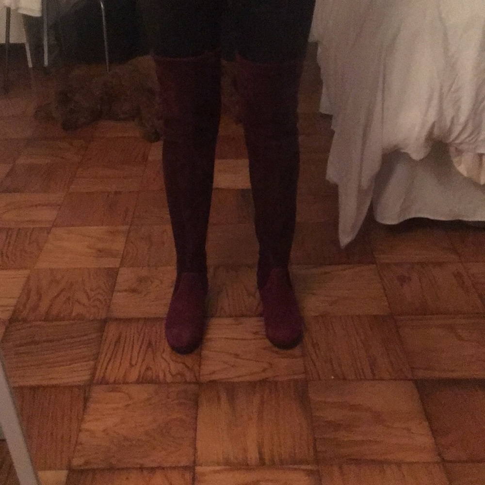 Maroon Sued Stuart Weitzman Knee High Boot